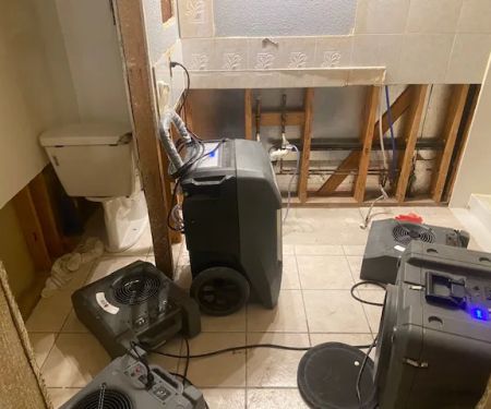 Dry Pro Restoration of New Orleans Uptown & Carrollton