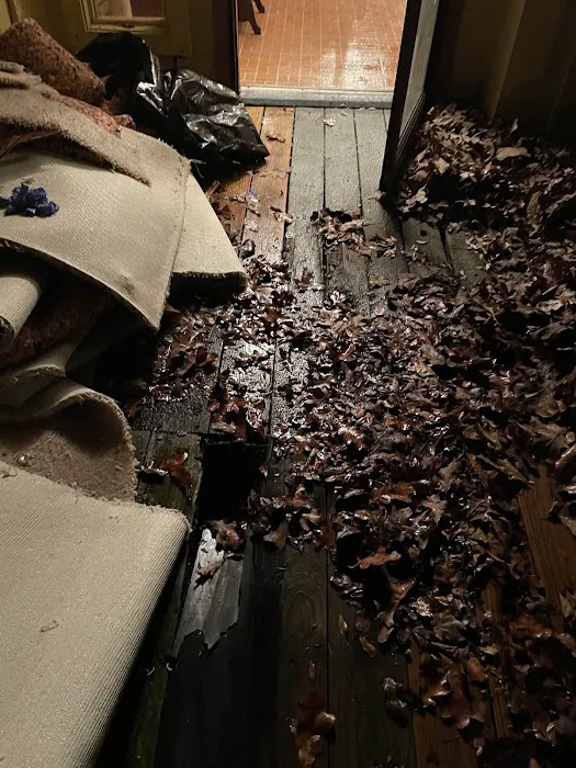 RestoPros of New Orleans Picture 5