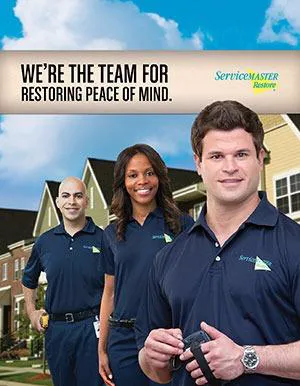 ServiceMaster (Restore) Elite Cleaning Services Picture 2