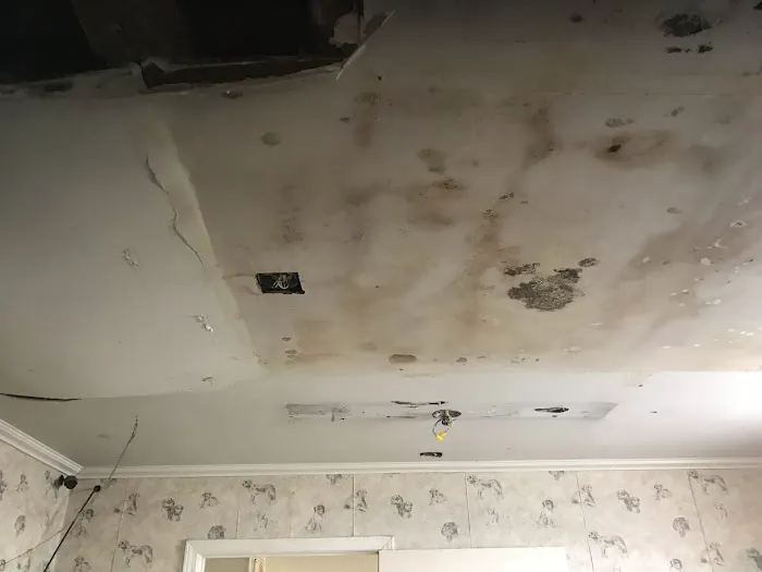 Strategic Mold Specialist, LLC Picture 5