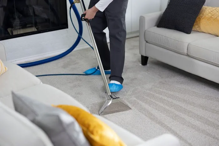 COIT Cleaning and Restoration Picture 5