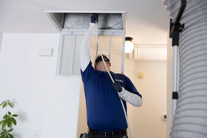 COIT Cleaning and Restoration Picture 2