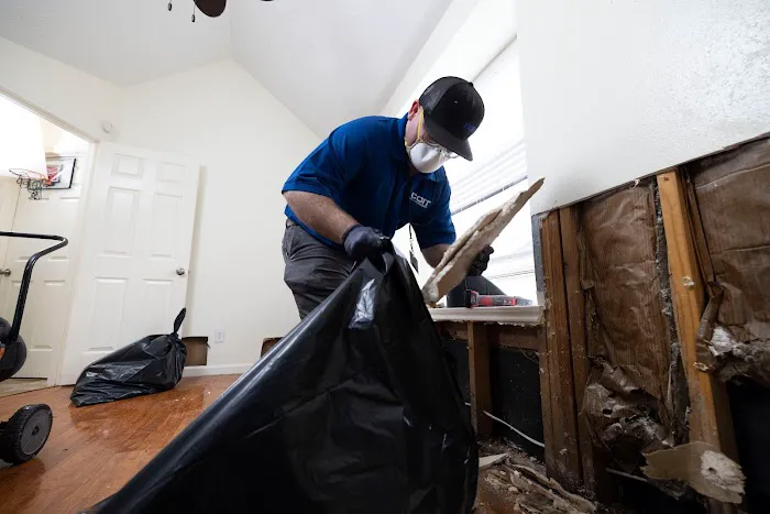 COIT Cleaning and Restoration Picture 10