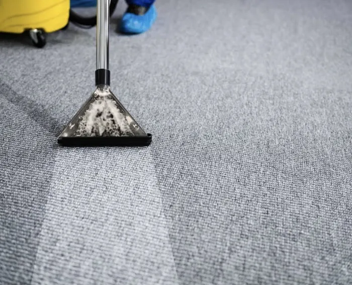 COIT Cleaning and Restoration Picture 3