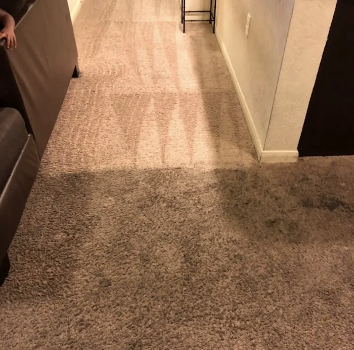 COIT Cleaning and Restoration Picture 4