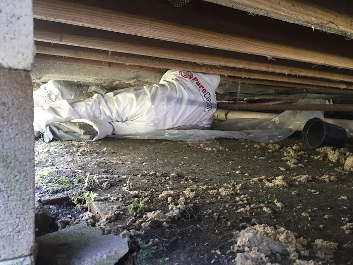 PuroClean Certified Restoration Specialist Picture 1