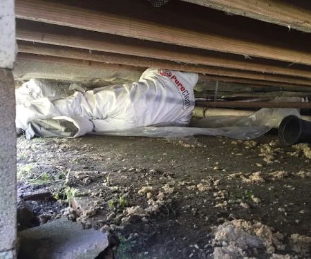 PuroClean Certified Restoration Specialist