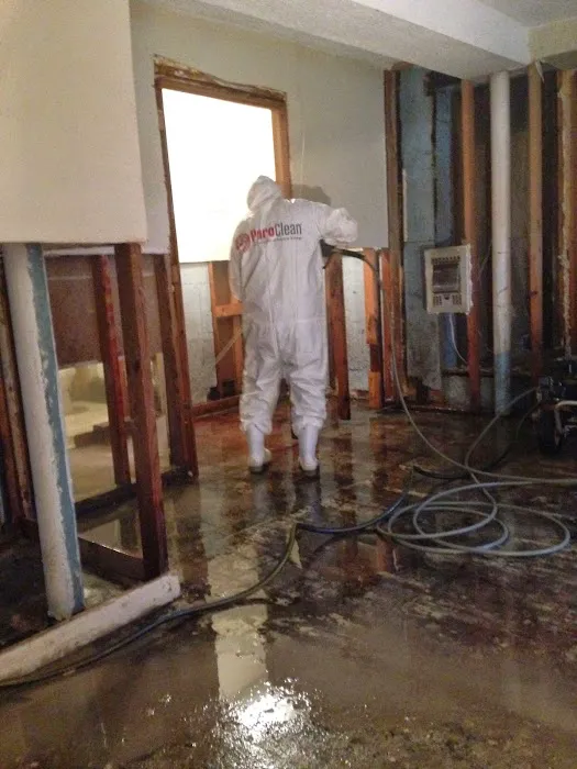 PuroClean Certified Restoration Specialist Picture 3