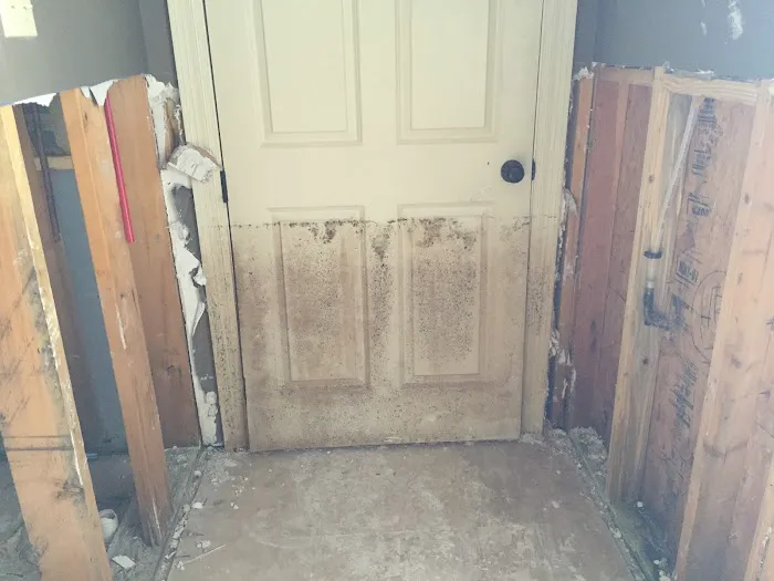 PuroClean Certified Restoration Specialist Picture 6