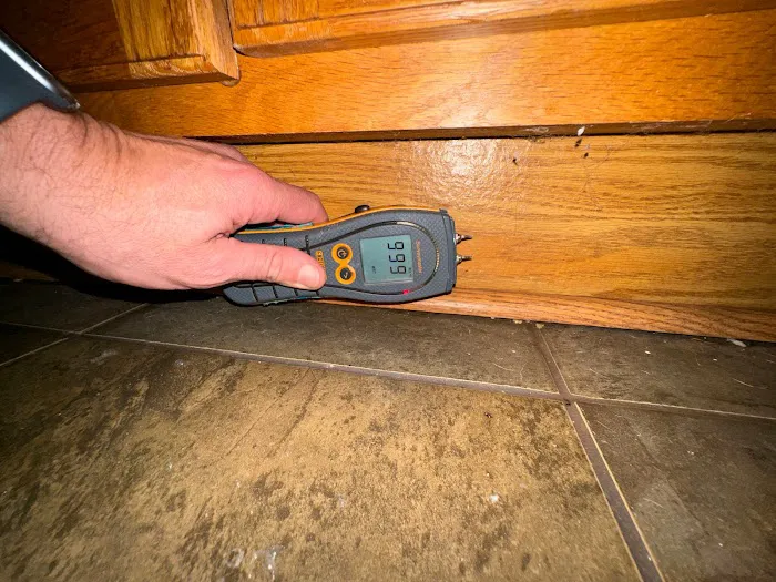 Disaster Masterz Picture 7