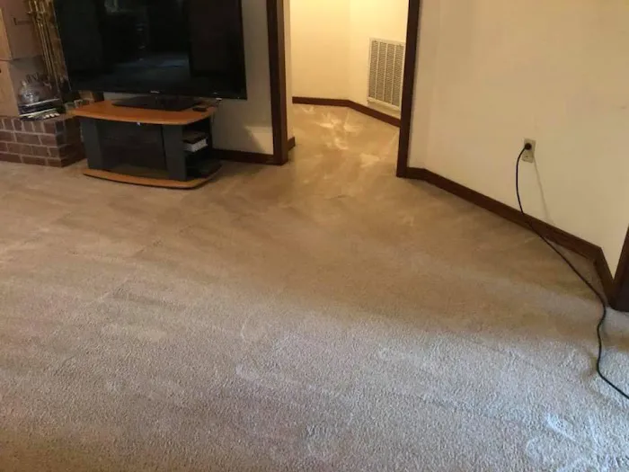 HCF Cleaning and Restoration Picture 3