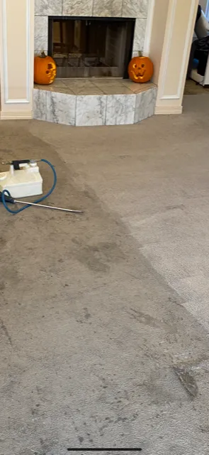 HCF Cleaning and Restoration Picture 10