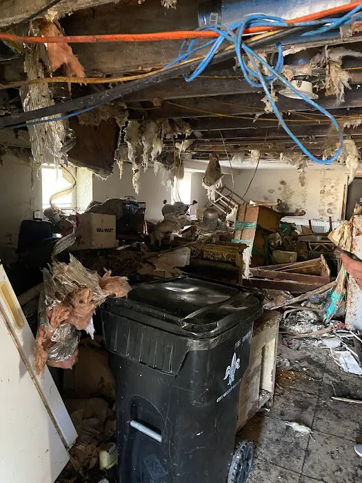 Water Removal Pros Picture 5