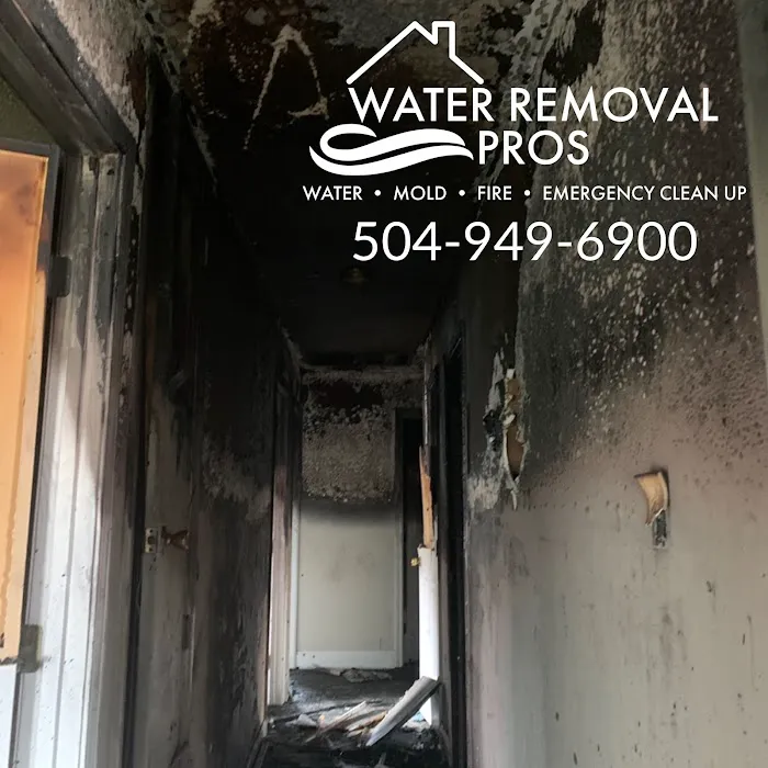 Water Removal Pros Picture 1