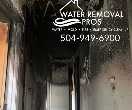 Water Removal Pros