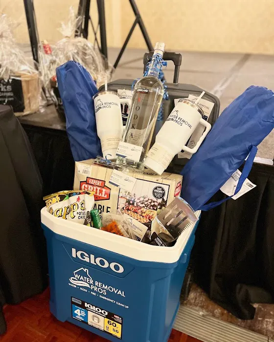 Water Removal Pros Picture 3