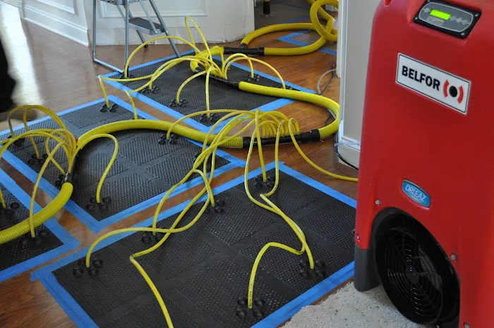 BELFOR Property Restoration Picture 3