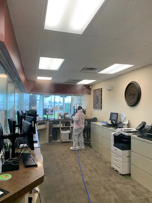 BELFOR Property Restoration Picture 8