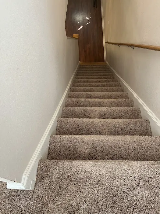 Stanley Steemer Picture 10