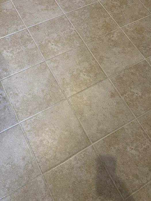 Stanley Steemer Picture 9