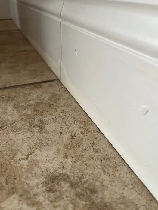 Stanley Steemer Picture 6