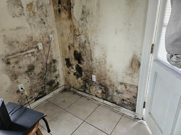 Duke Restoration Picture 9