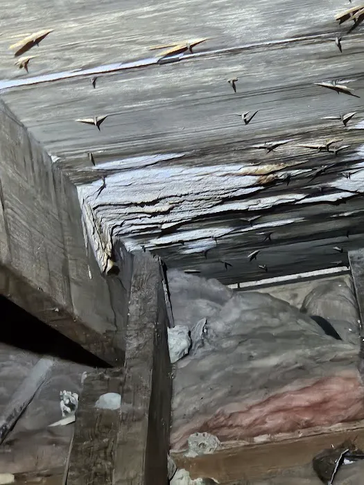 Duke Restoration Picture 4