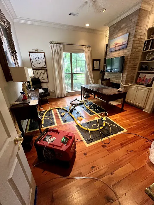 Rescue Clean Picture 2