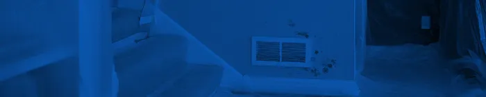 Richards Remediation Picture 10