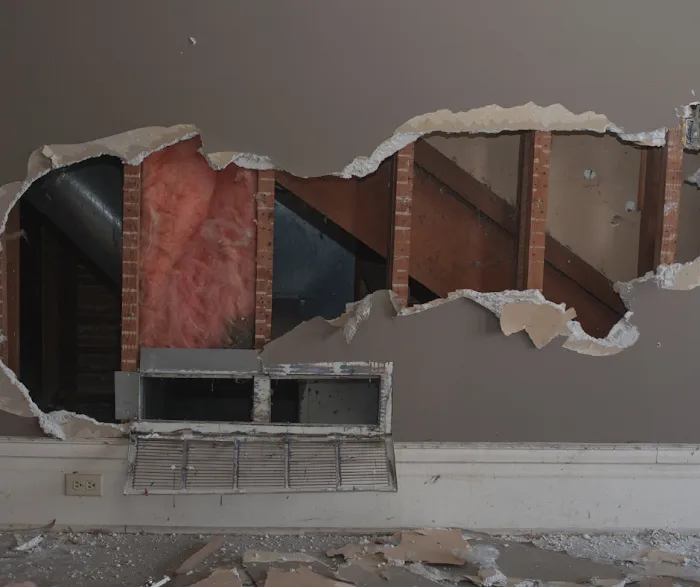 Orchid Water Damage Repair Picture 1