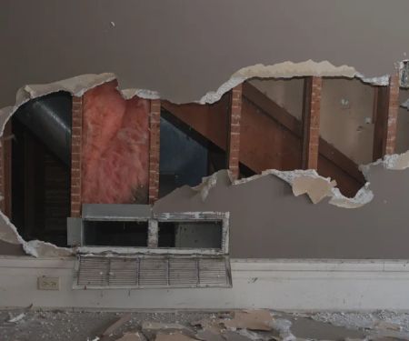 Orchid Water Damage Repair