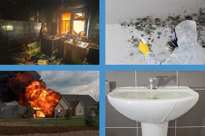 First Call Restoration Picture 6