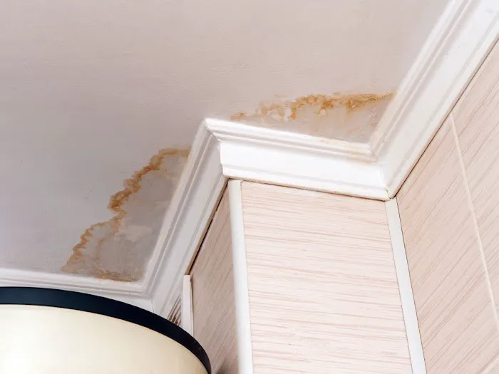 Standard Restoration Picture 8