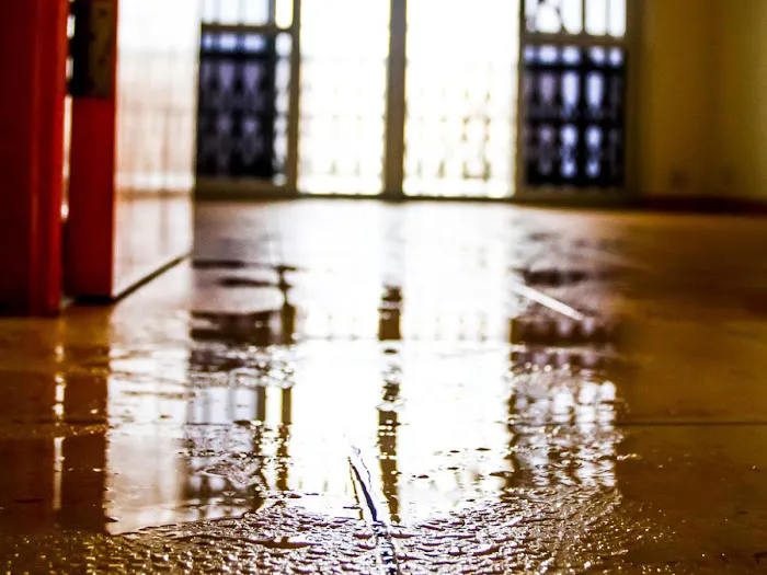 Standard Restoration Picture 9