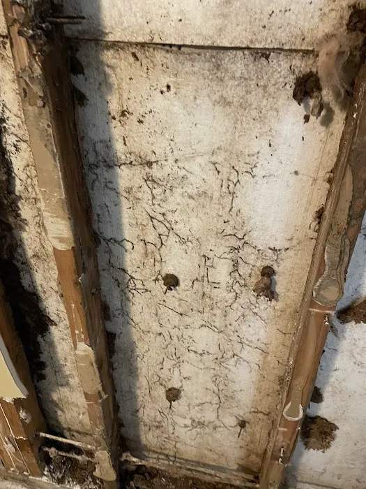 All Dry Services Kansas City Picture 7