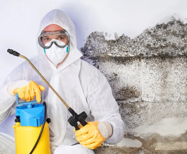 EliteClean Water Damage Restoration Kansas City MO Picture 5