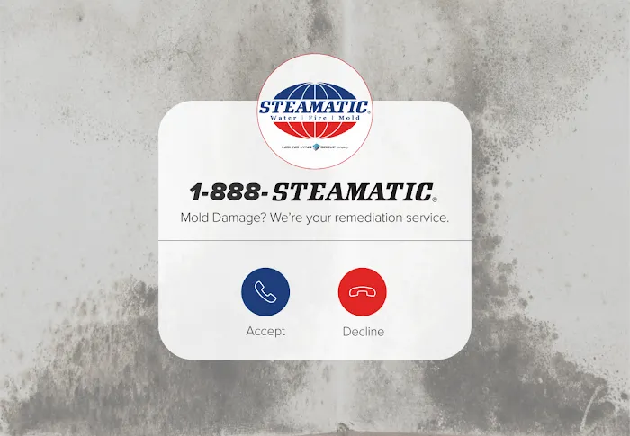 Steamatic of Kansas City Picture 10