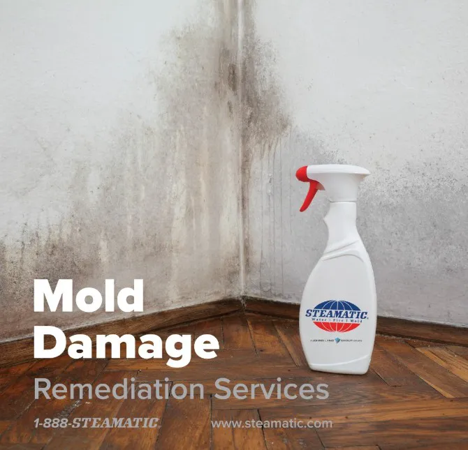 Steamatic of Kansas City Picture 3