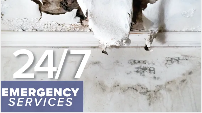 Steamatic of Kansas City Picture 9