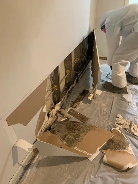 Smart Environmental Services Picture 6