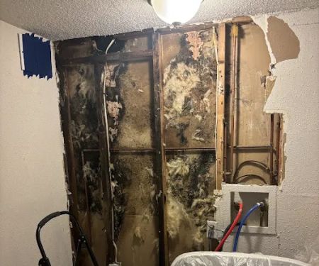 Best Option Restoration SE Kansas City