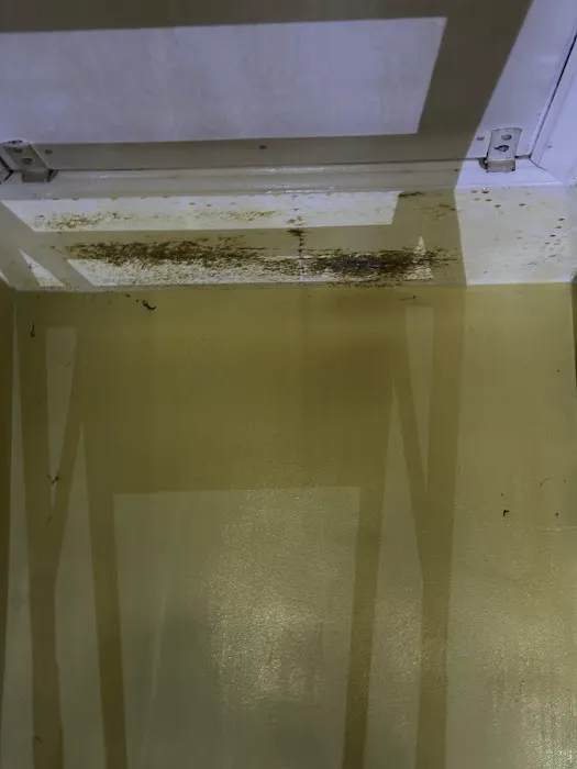 Best Option Restoration SE Kansas City Picture 5