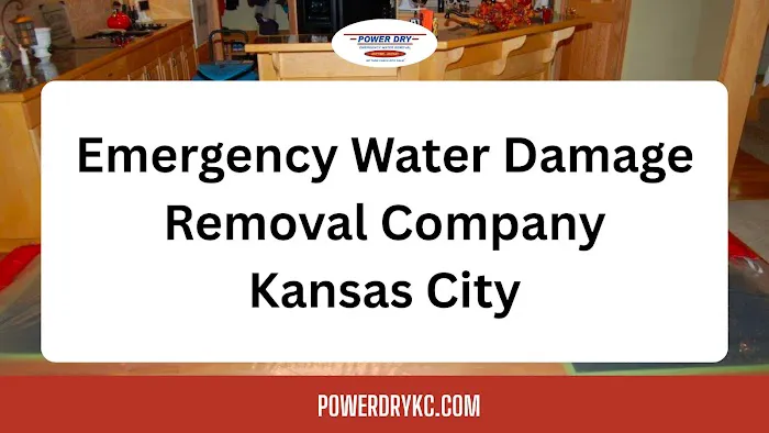 Power Dry - Emergency Water Removal Company Picture 5