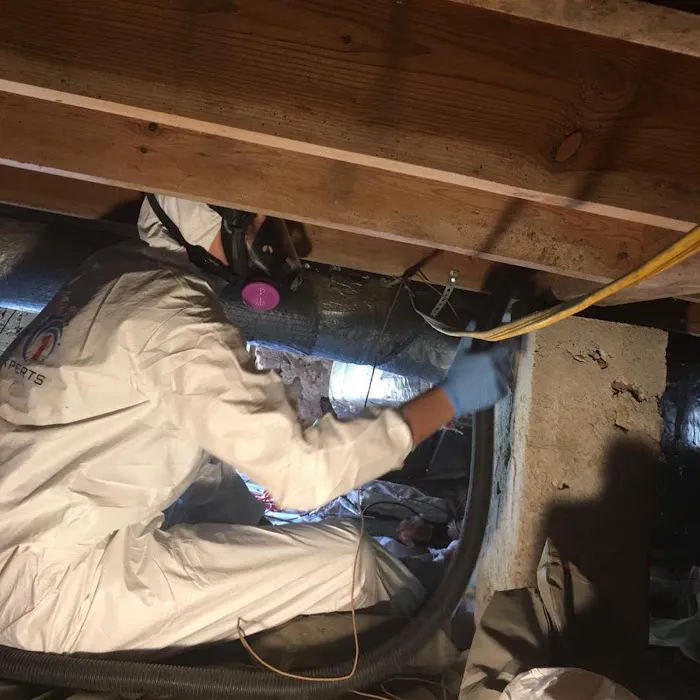 Restoration 1 of Independence Picture 6