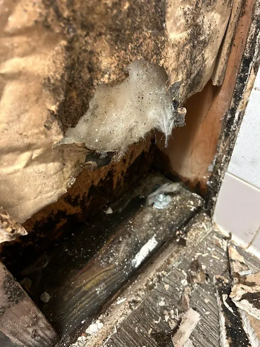 Restoration Service Picture 4