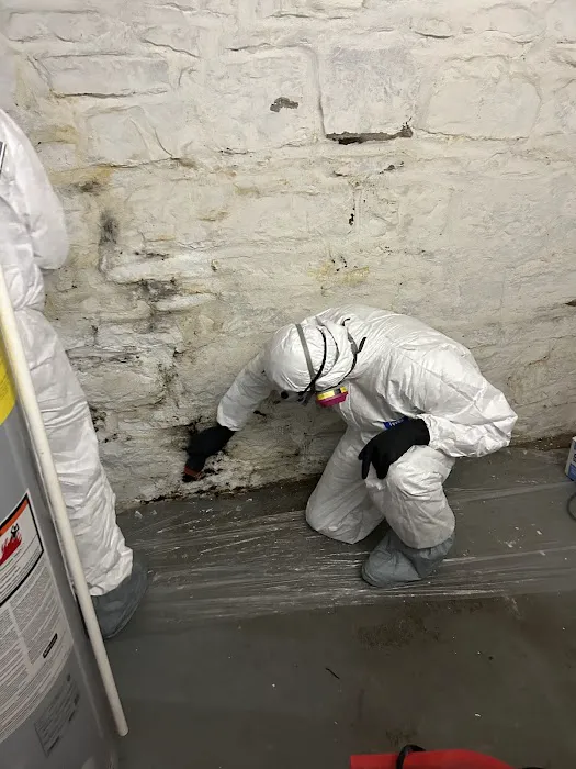 Restoration Service Picture 5