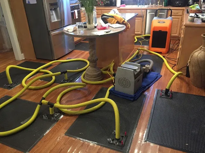 AFC Cleaning & Restoration Inc Picture 4