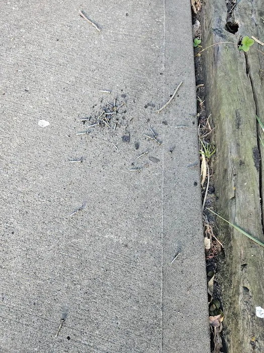 AFC Cleaning & Restoration Inc Picture 2