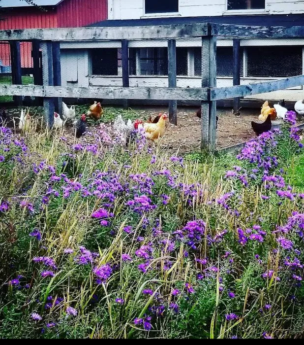 Frontier Restoration Picture 3