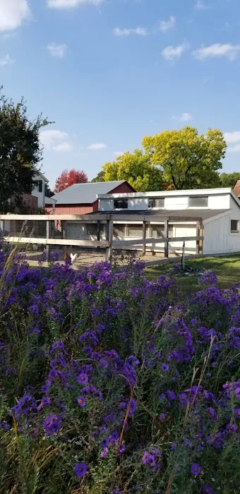 Frontier Restoration Picture 1